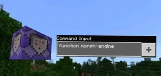 Visual Morph