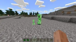 Baby Creepers