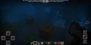 Seacarve Survival Hardcore Challenge