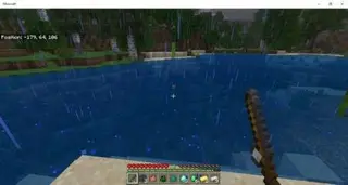 Foul's Better Fishing