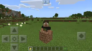 Block Morphs