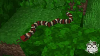 Snakes