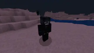 The Prototypes
