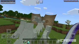 The Hand