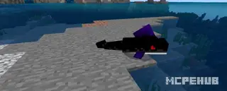 The Orca