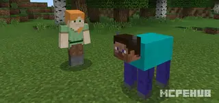 Steve Cow