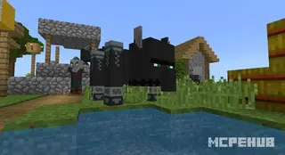 Village&Pillage