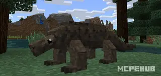 Komodo Dragon