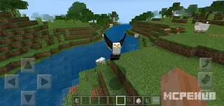 Eagle Of The Sky