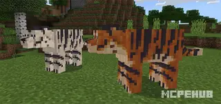 Tigers 2