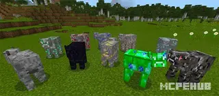 More Cows