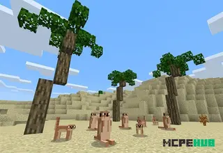 Biome Chooser