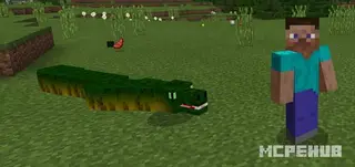 Snake