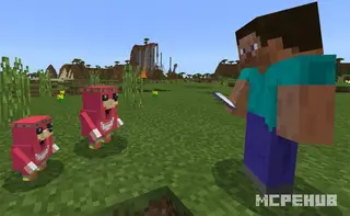 Uganda Knuckles
