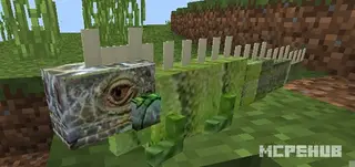 Iguanas