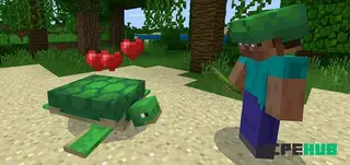 Turtle Plus