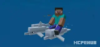 Controllable Rideable Dolphins