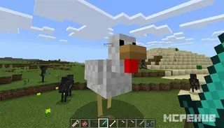 Pesky Chicken Boss Addon