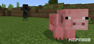 Morph Mob