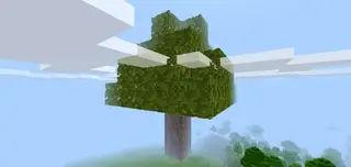 Oak Tree but it's 16x BIGGER Map