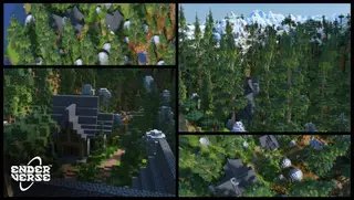 Pine Lodge | Survival Spawn