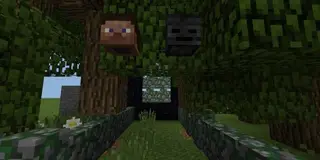 Survival hell
