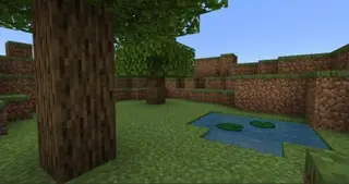 Find The Button - Craziness Edition Map