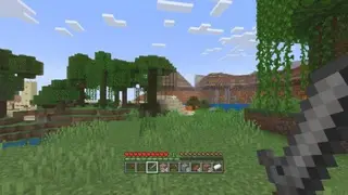 Console Experience — Limited World