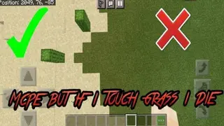 MCPE But If You Touch Grass You Die