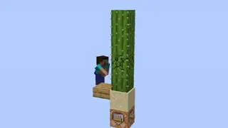 Shopblock Skyblock Map