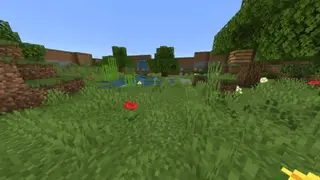 Find The Button: Dimensions Map