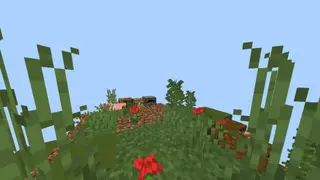 Skyblock: Unlimited Map