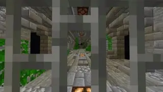 Treasure Hunter Series: Jungle Puzzle