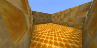 Runners vs Killer Bees Map