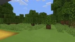 Viridian Forest