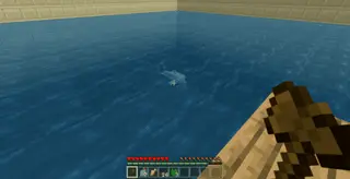 CT The RAFT