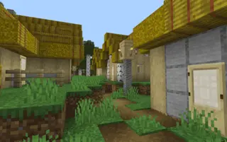 Birch Forest Village