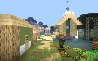 Swamp Village