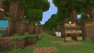 SB: The Secret Forest