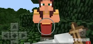 NPC World 1.10