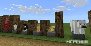 The Texture Review