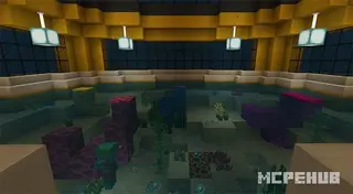 SG Sub-Skills Map
