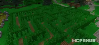 SG Countryside Maze Map