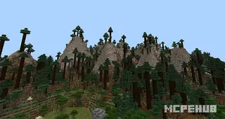 SG Mexa: Acacia Forest Map