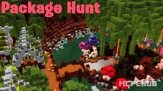 SG Package Hunt