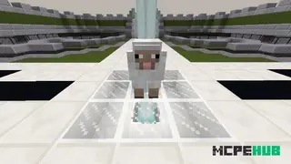 Capture The Sheep Map