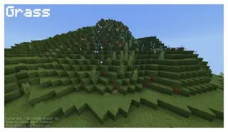 Full Grass Pack / All Sides Grass Pack