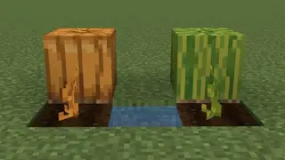 Ultimate Survival