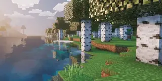 Enhanced Vibrant Visuals Textures
