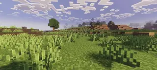 Outline Textures